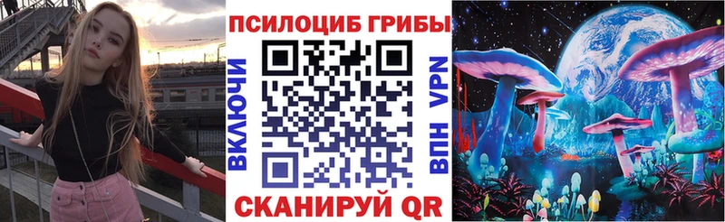 Галлюциногенные грибы Psilocybe  наркота  Козельск 